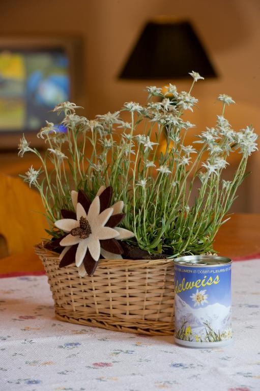 סן מרקו די קסטרוזה Residence Edelweiss חדר תמונה